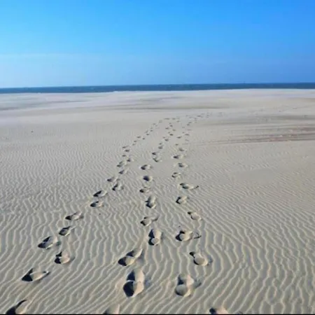 In With Sea Views * Nieuwpoort