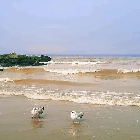 In With Sea Views Lejlighed Nieuwpoort