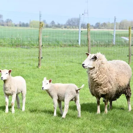 In With Sea Views * Nieuwpoort