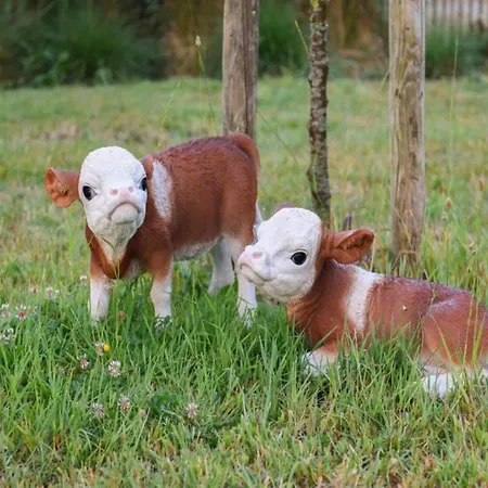 In With Sea Views Lejlighed *