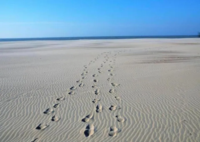 In With Sea Views * Nieuwpoort