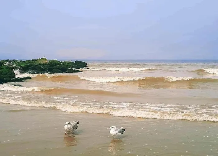 In With Sea Views Apartman Nieuwpoort