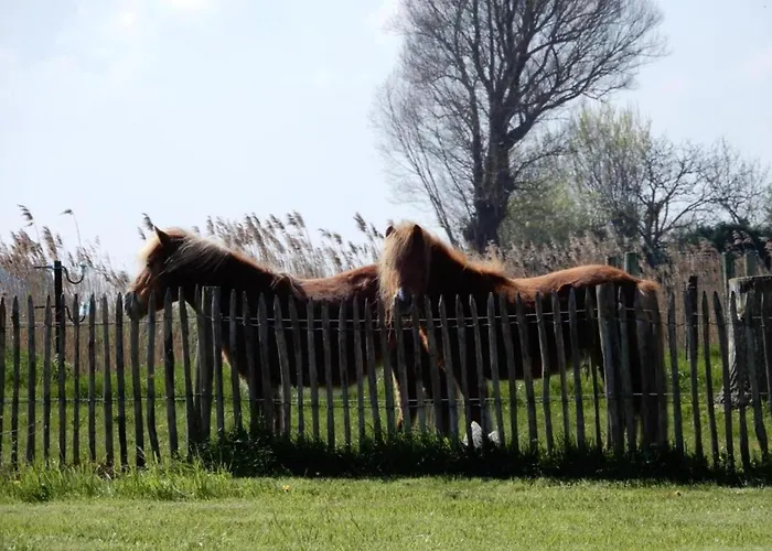 In With Sea Views * Nieuwpoort