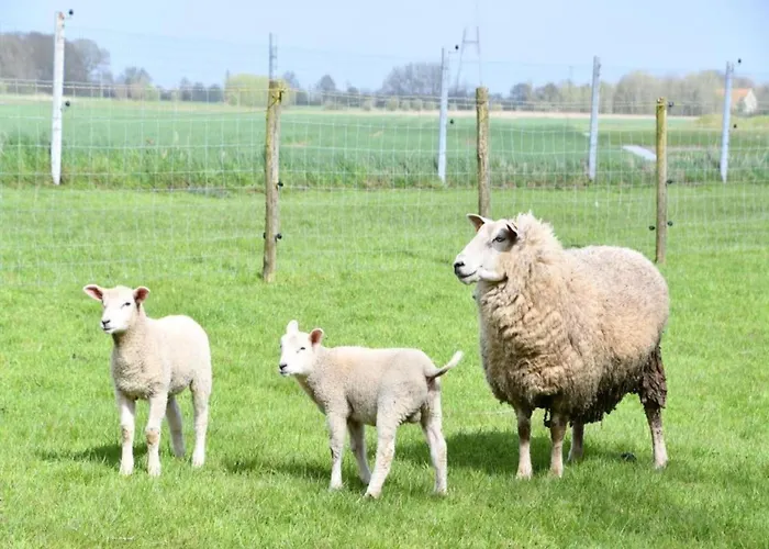 In With Sea Views * Nieuwpoort