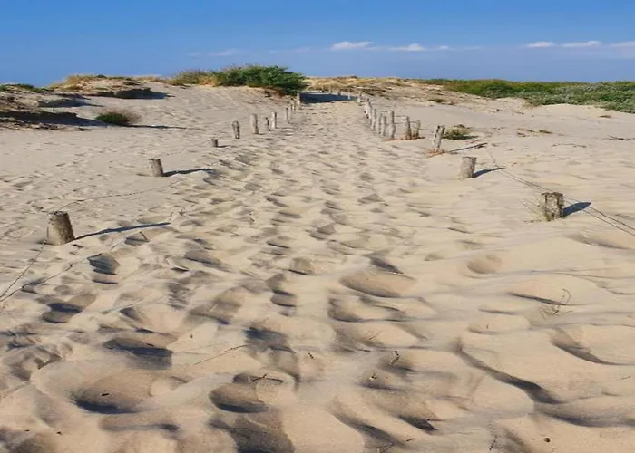 In With Sea Views Nieuwpoort