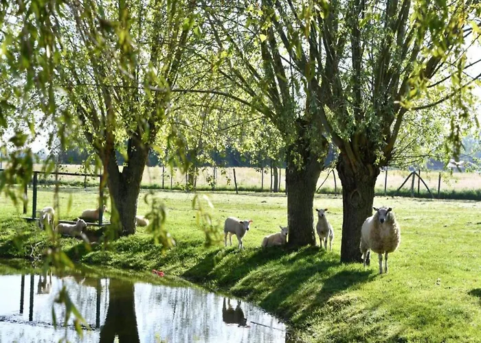 In With Sea Views Apartman